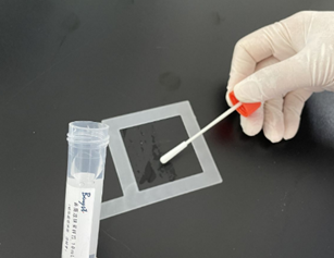 嬰配乳粉生產企業環境微生物監測(一)——表面微生物采樣 嬰配乳粉生產企業環境微生物監測(一)——表面微生物采樣