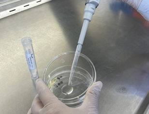 嬰配乳粉生產企業環境微生物監測(一)——表面微生物采樣 嬰配乳粉生產企業環境微生物監測(一)——表面微生物采樣