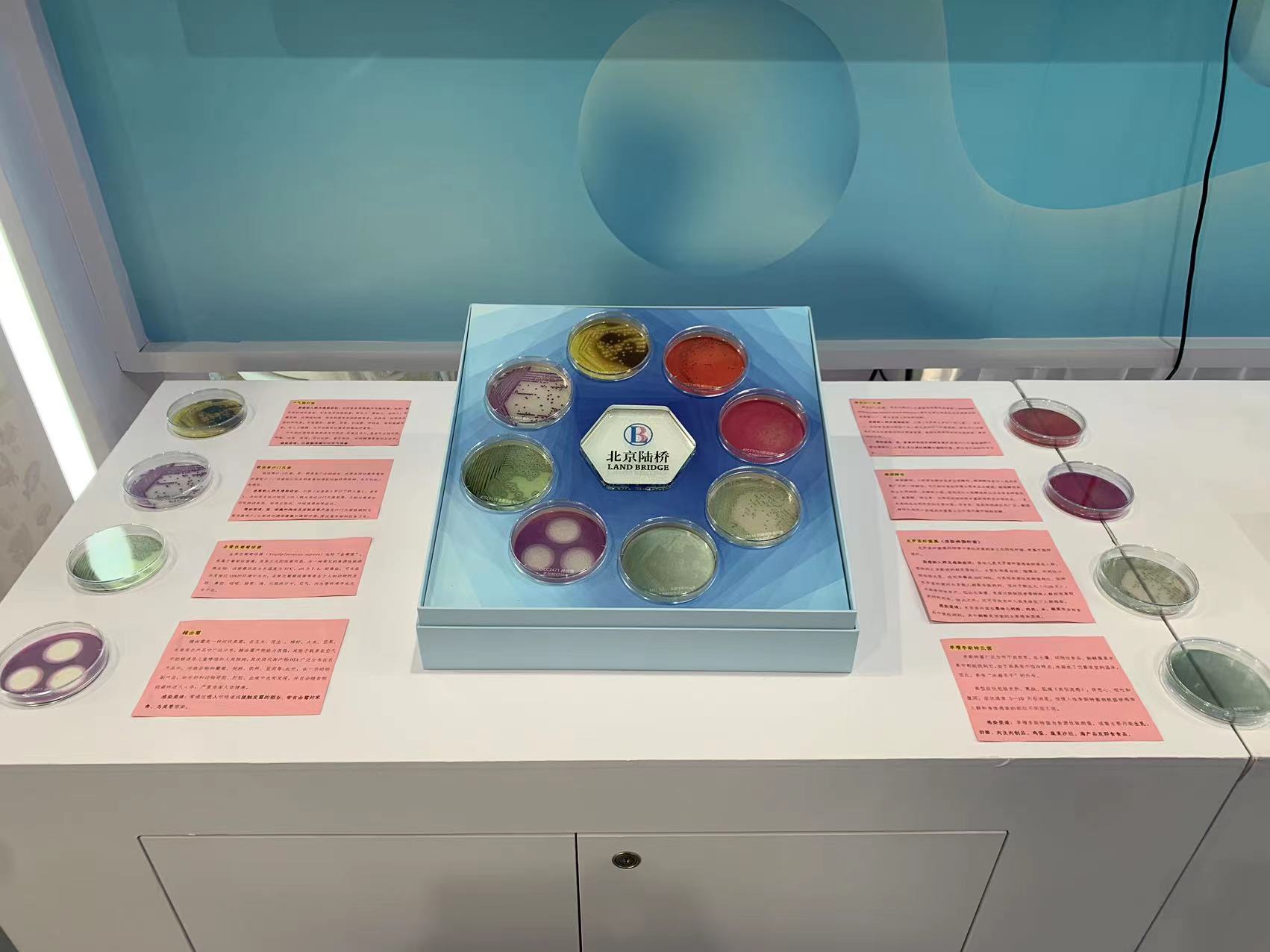 北京陸橋與您相約全國科普日 助力國家科技，守護“舌尖上的安全”