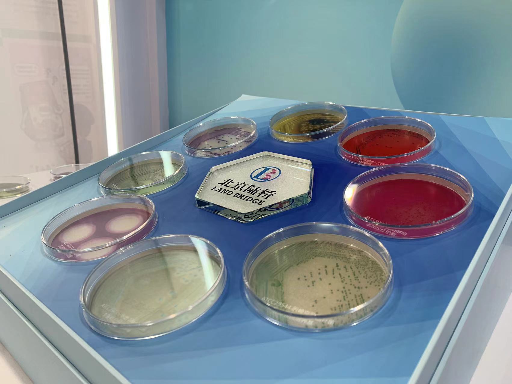 北京陸橋與您相約全國科普日 助力國家科技，守護“舌尖上的安全”