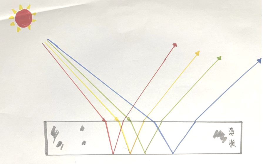 自帶“光環”的菌——唐菖蒲伯克霍爾德氏菌(下) 自帶“光環”的菌——唐菖蒲伯克霍爾德氏菌(下)