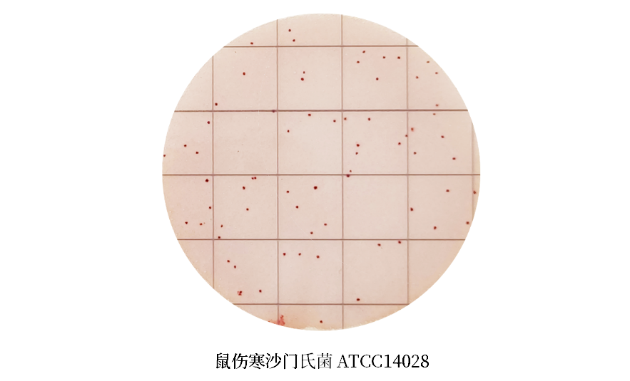 陸橋推出新大腸菌群測(cè)試片：符合GB4789.3-2025