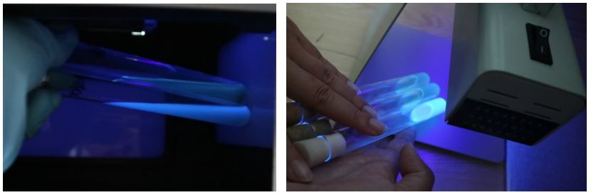 GB 4789.38-2025《食品安全國家標準 食品微生物學檢驗 大腸埃希氏菌計數》解讀 GB 4789.38-2025《食品安全國家標準 食品微生物學檢驗 大腸埃希氏菌計數》解讀