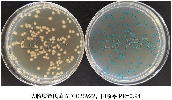 GB 4789.38-2025《食品安全國家標準 食品微生物學檢驗 大腸埃希氏菌計數》解讀 GB 4789.38-2025《食品安全國家標準 食品微生物學檢驗 大腸埃希氏菌計數》解讀