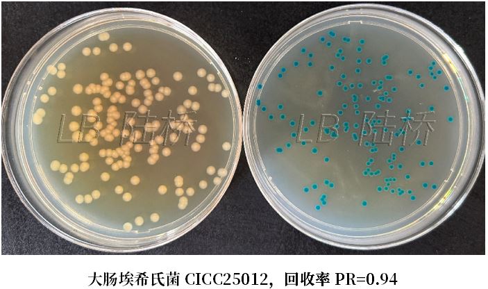 GB 4789.38-2025《食品安全國家標準 食品微生物學檢驗 大腸埃希氏菌計數》解讀 GB 4789.38-2025《食品安全國家標準 食品微生物學檢驗 大腸埃希氏菌計數》解讀