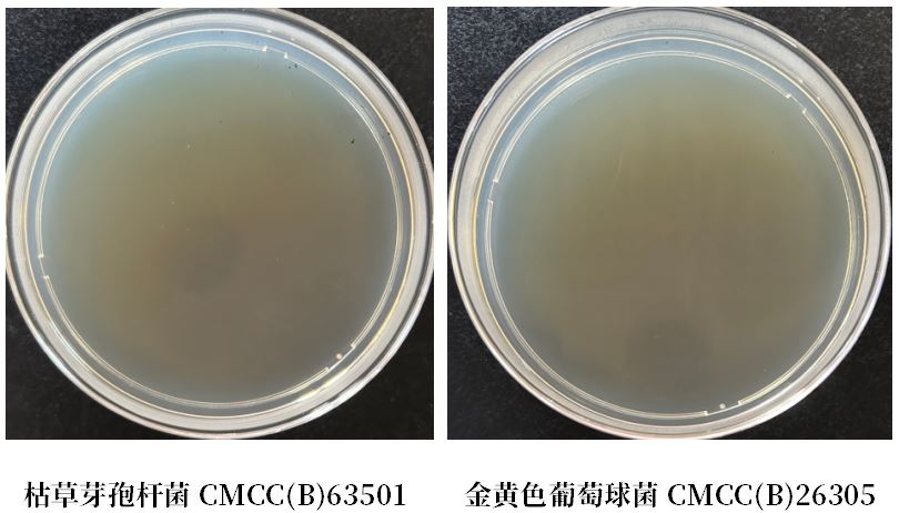 GB 4789.38-2025《食品安全國家標準 食品微生物學檢驗 大腸埃希氏菌計數》解讀 GB 4789.38-2025《食品安全國家標準 食品微生物學檢驗 大腸埃希氏菌計數》解讀