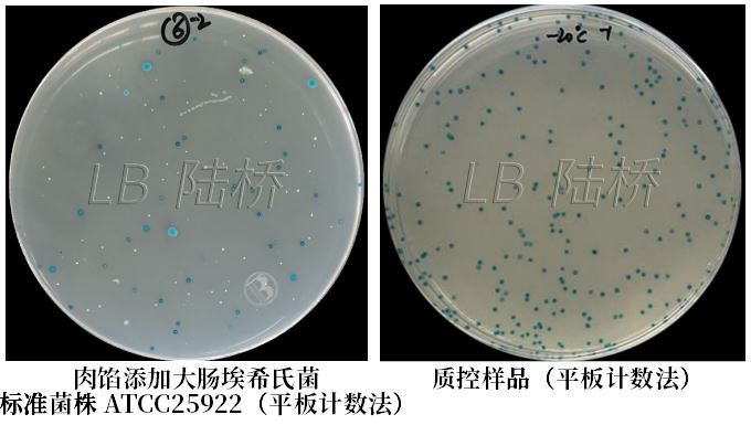 GB 4789.38-2025《食品安全國家標準 食品微生物學檢驗 大腸埃希氏菌計數》解讀 GB 4789.38-2025《食品安全國家標準 食品微生物學檢驗 大腸埃希氏菌計數》解讀
