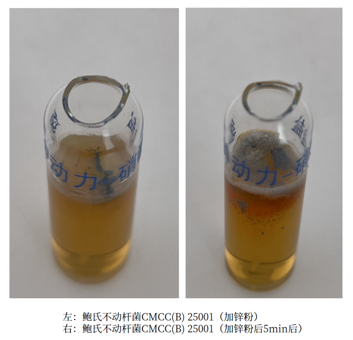 細菌生化實驗之硝酸鹽還原實驗解析 細菌生化實驗之硝酸鹽還原實驗解析