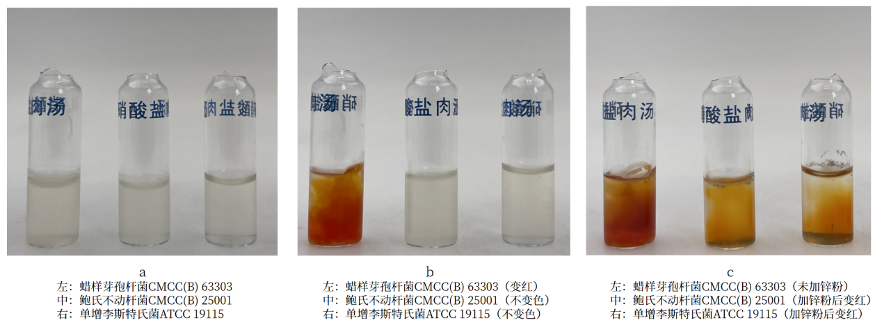 細菌生化實驗之硝酸鹽還原實驗解析 細菌生化實驗之硝酸鹽還原實驗解析