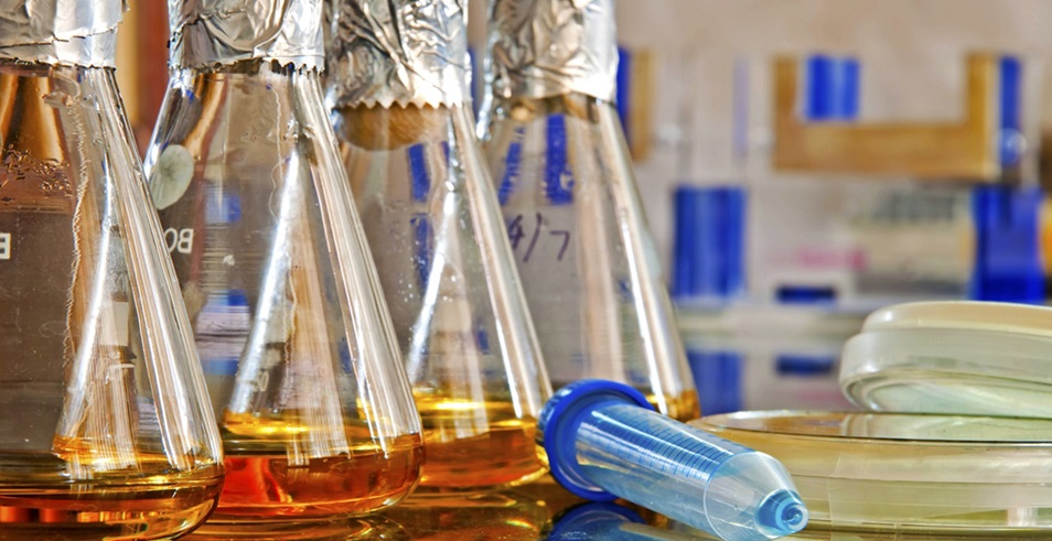 1101無菌檢查法——培養基適用性檢查操作要點（中國藥典2020年版四部）