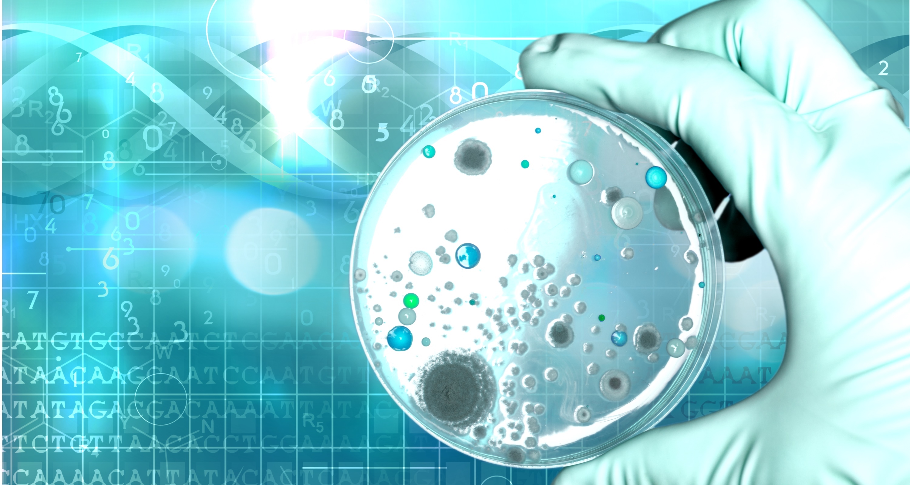 常見菌株保藏法的優缺點對比