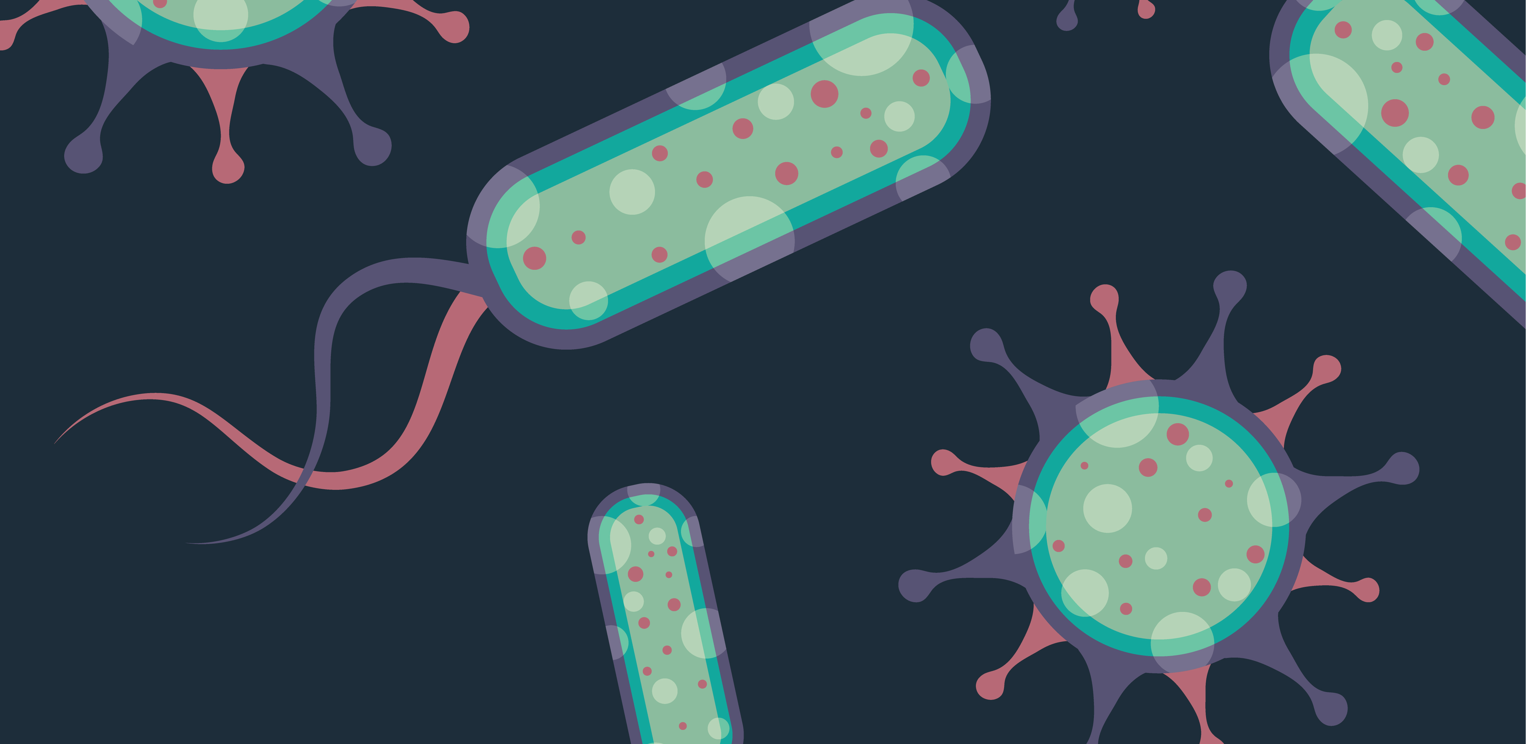 誰是芽胞桿菌中的“運動健將”？